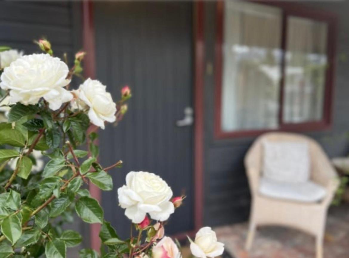 #2 Glenorchy Alpine Suite Extérieur photo